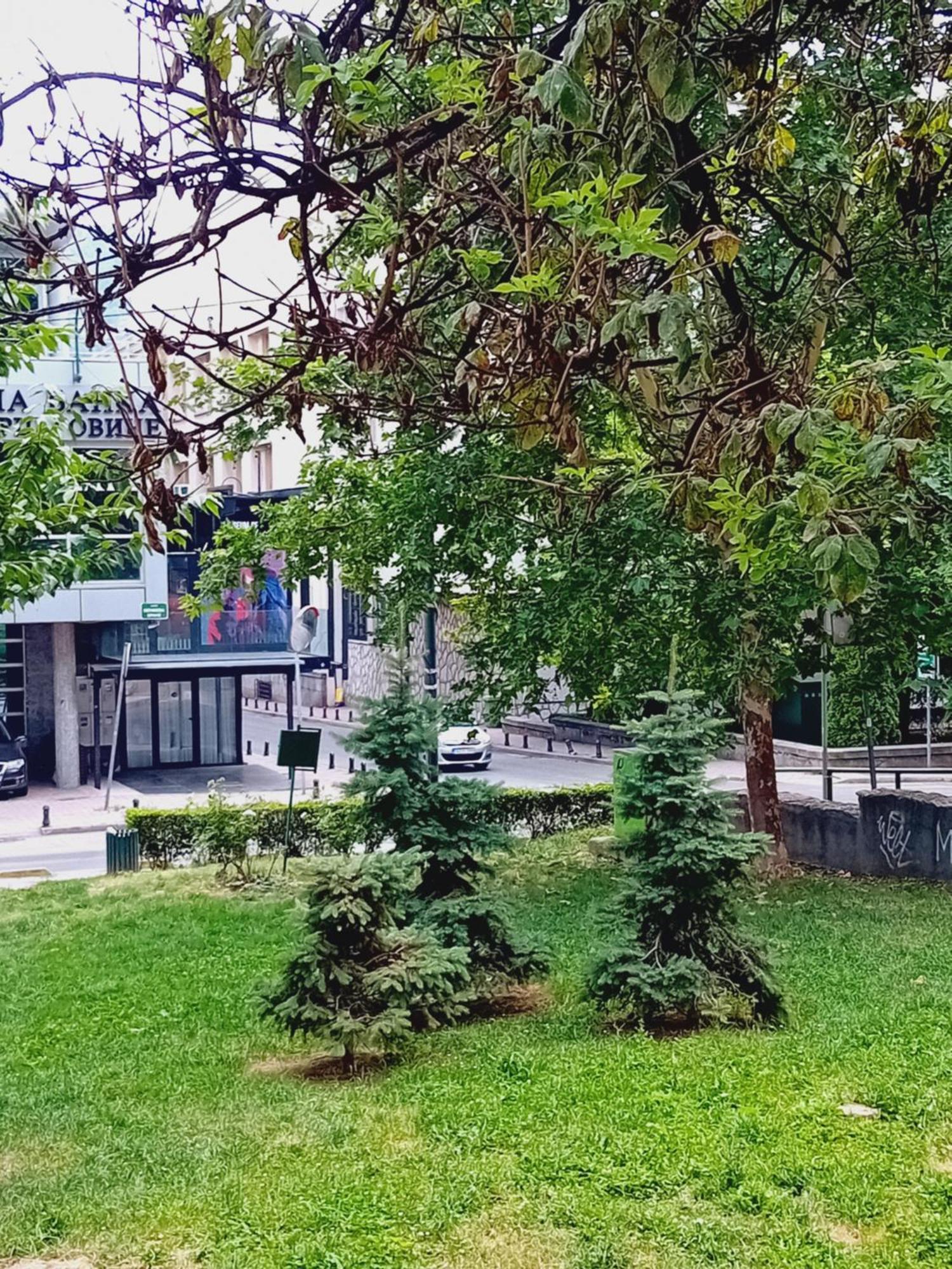 Floki Studio In The Center Szarajevó Kültér fotó
